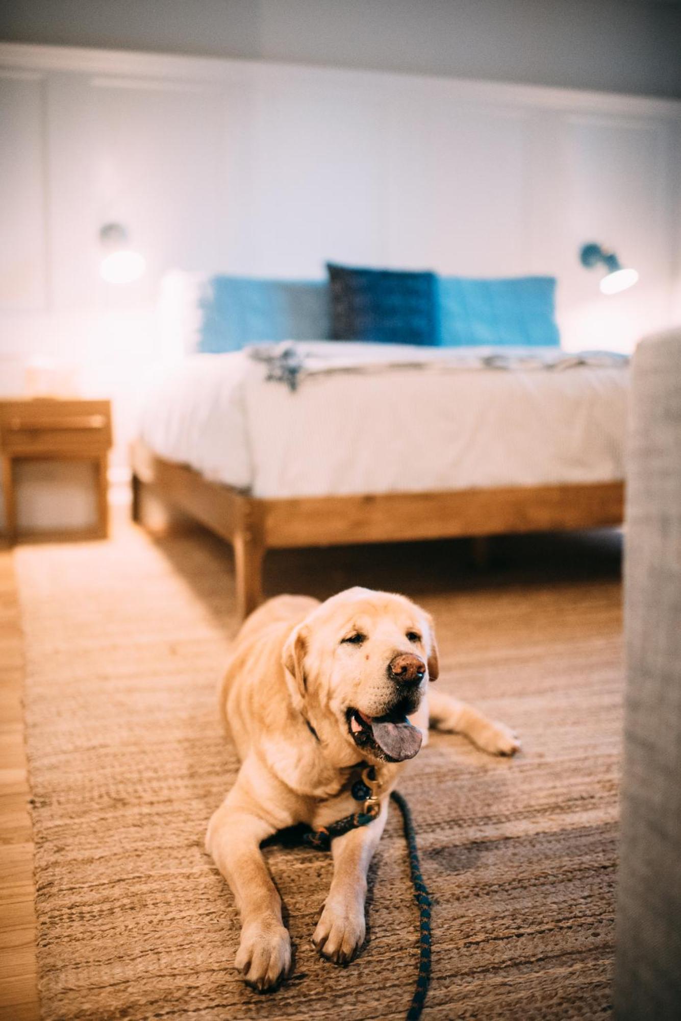 Great Island Inn - A Modern Boutique Hotel New Castle Zimmer foto